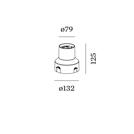 Disegno