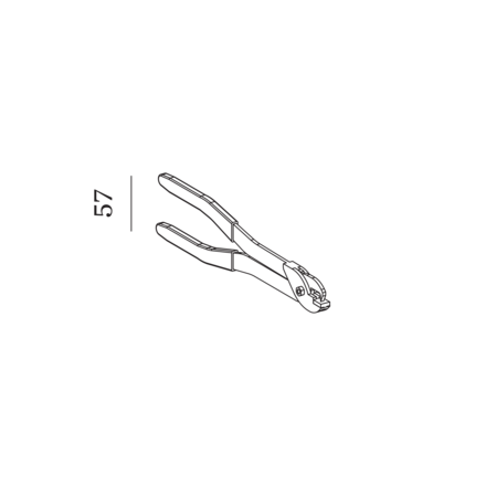 Disegno