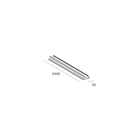 Disegno