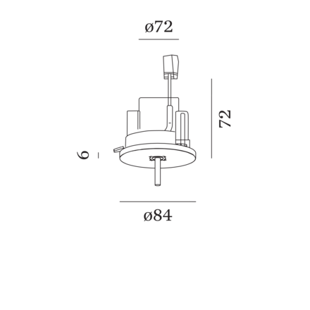 Disegno