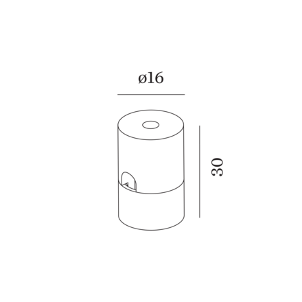 Disegno