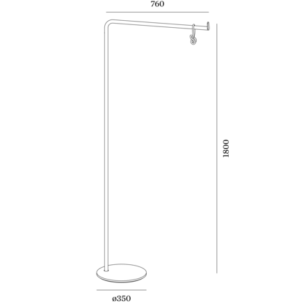 Disegno