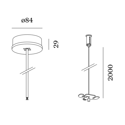 Disegno