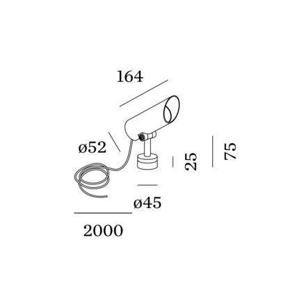 Disegno
