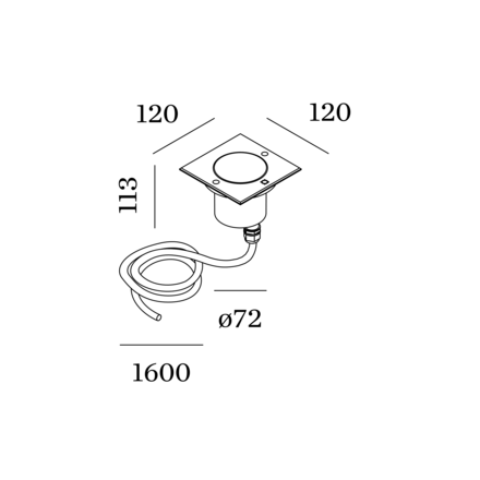 Disegno