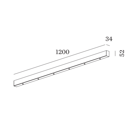 Disegno
