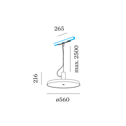 Disegno