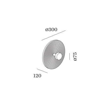 Disegno